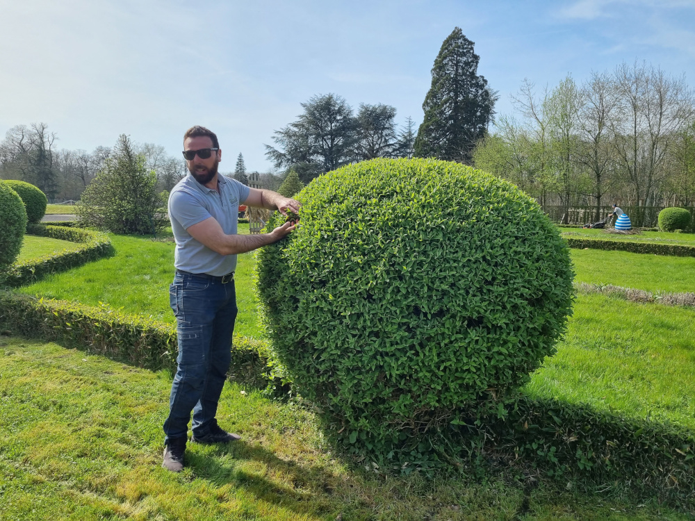 Sami Bouda, chef jardinier du château de Cheverny, nous donne ses conseils