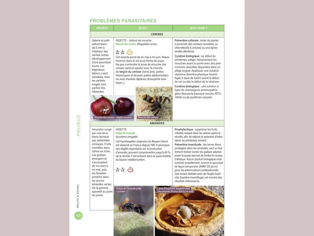 "Cultiver et soigner ses fruitiers sans pesticides" propose 34 fiches pratiques sur les arbres fruitiers