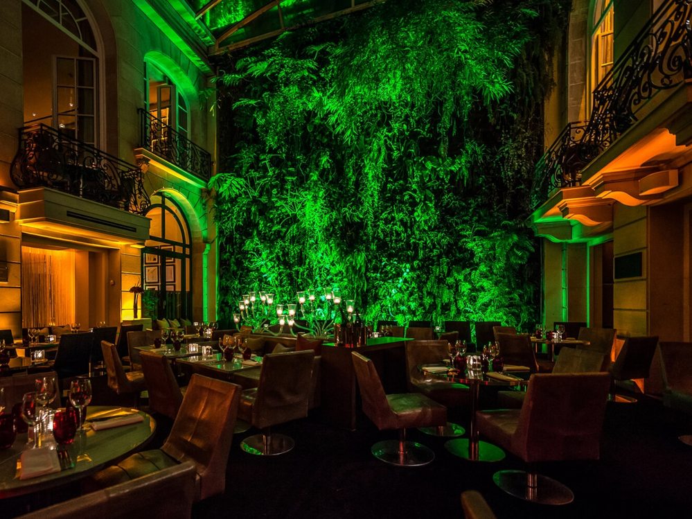 Le Jardin Vertical du Pershing Hall par Patrick Blanc de nuit