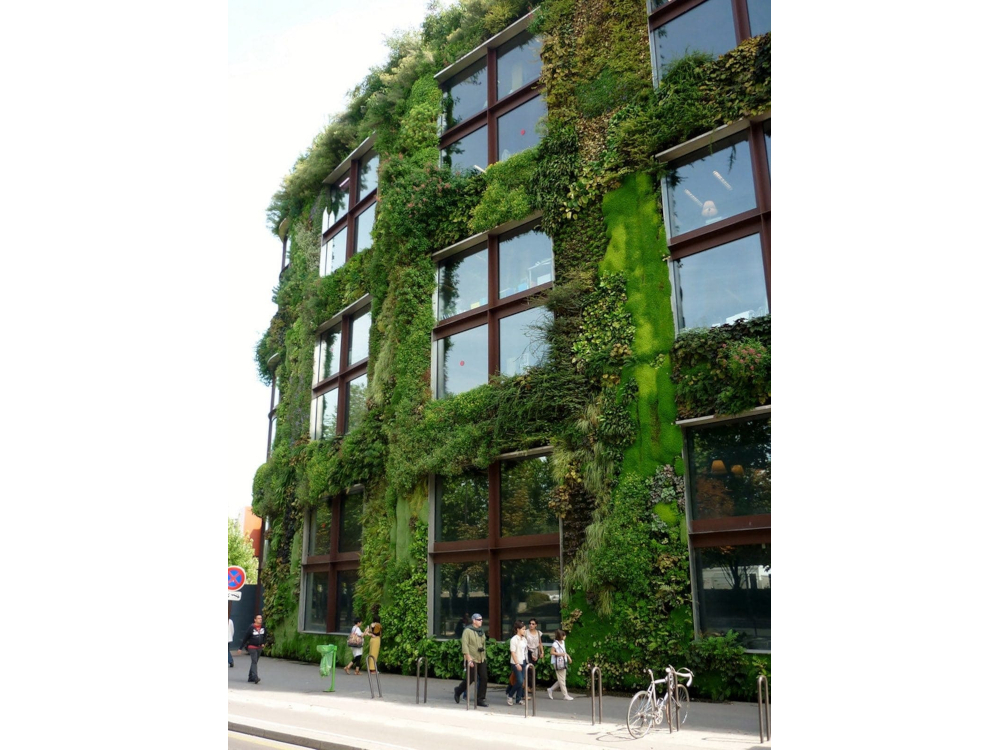 La façade du Athenaeum Hotel est un mur végétal de 329 m² - Londres, Royaume-Uni