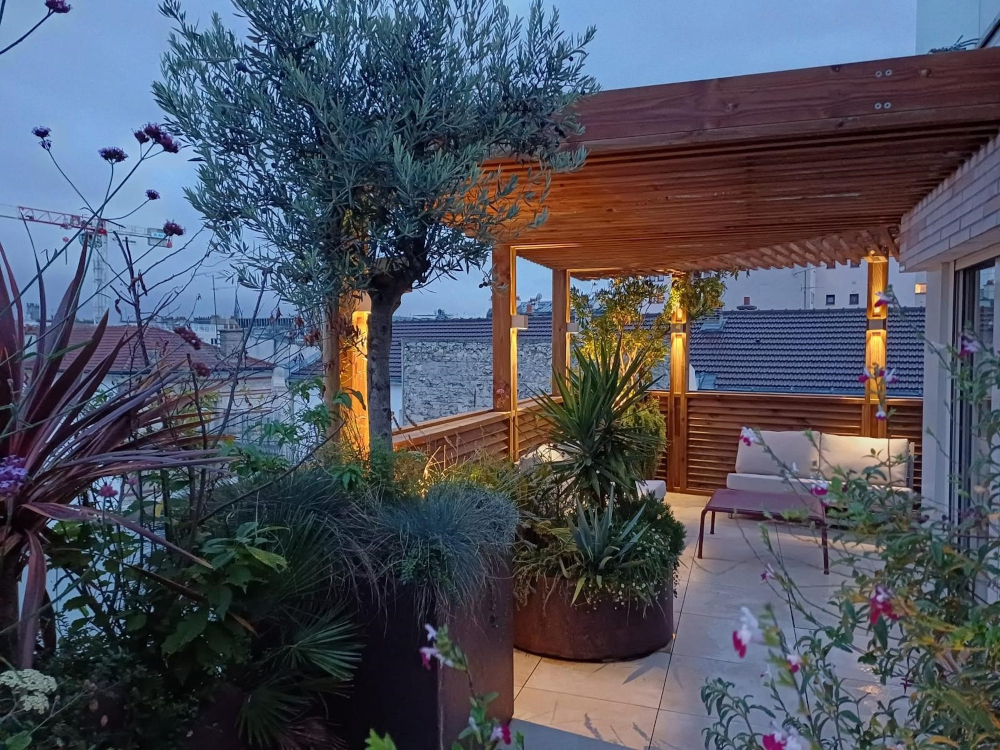 Pergola sur terrasse 