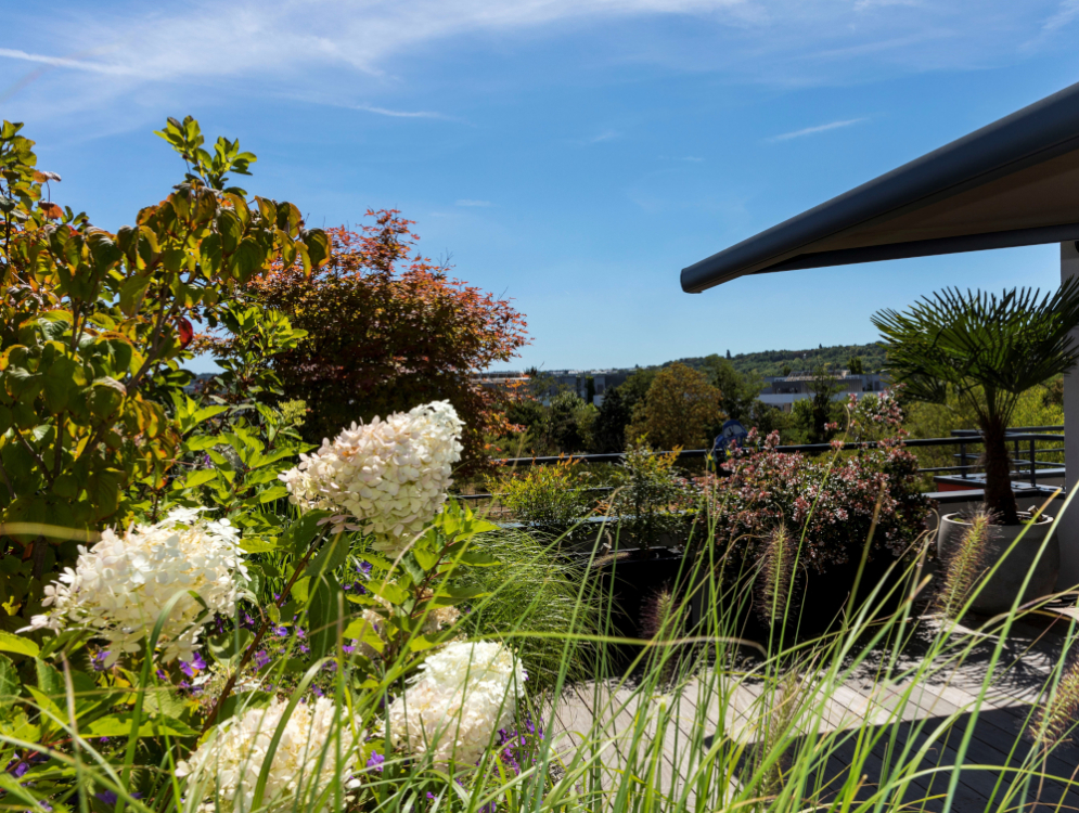 Composition v&eacute;g&eacute;tale 