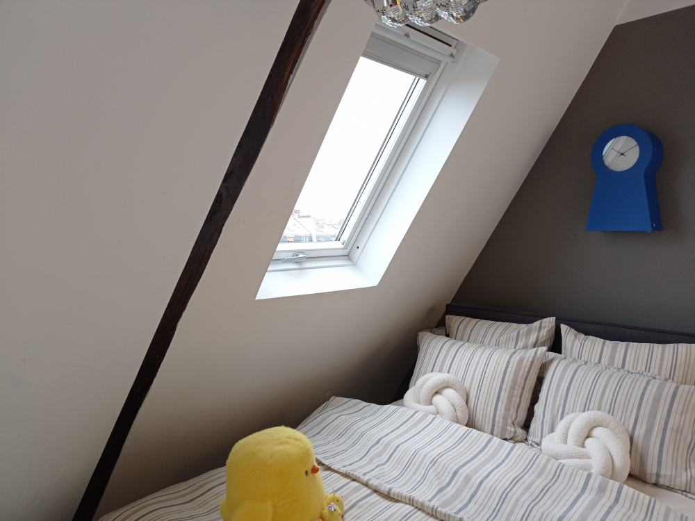 Fen&ecirc;tre de toit Velux dans la chambre