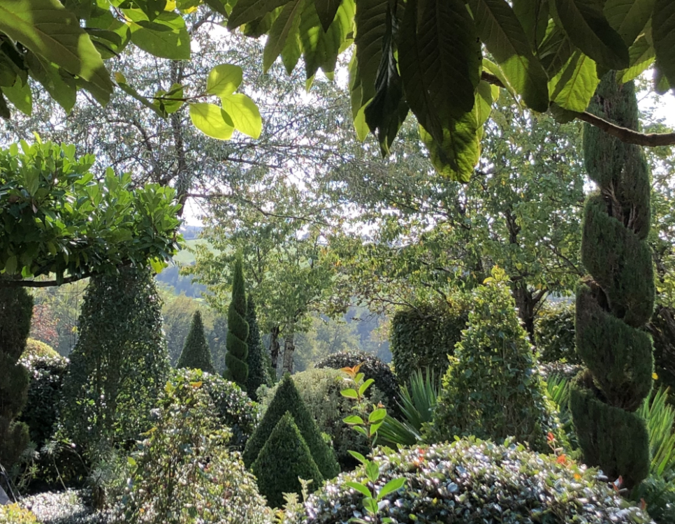 Le Jardin de la Mothe 