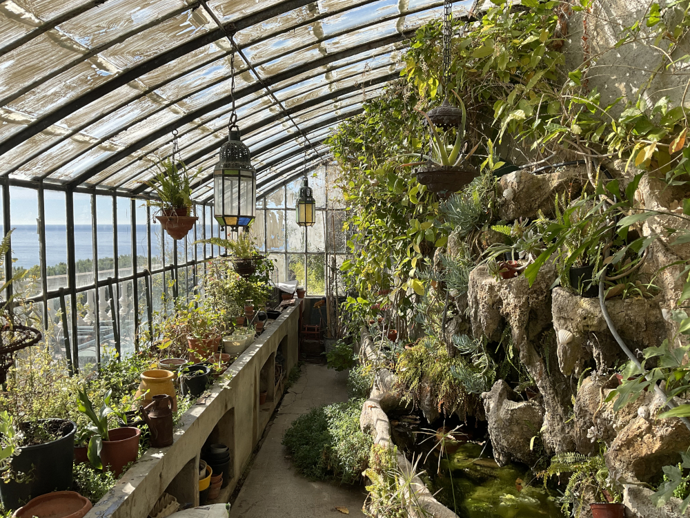 La serre de la Villa Santa Lucia 