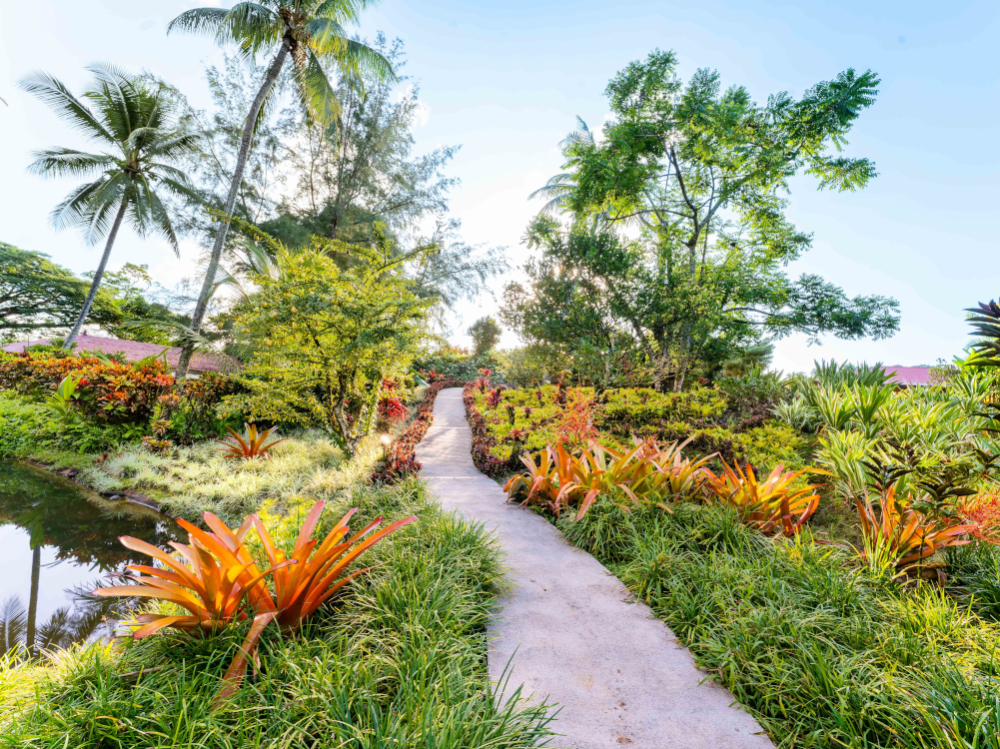 Le Jardin de Valombreuse 