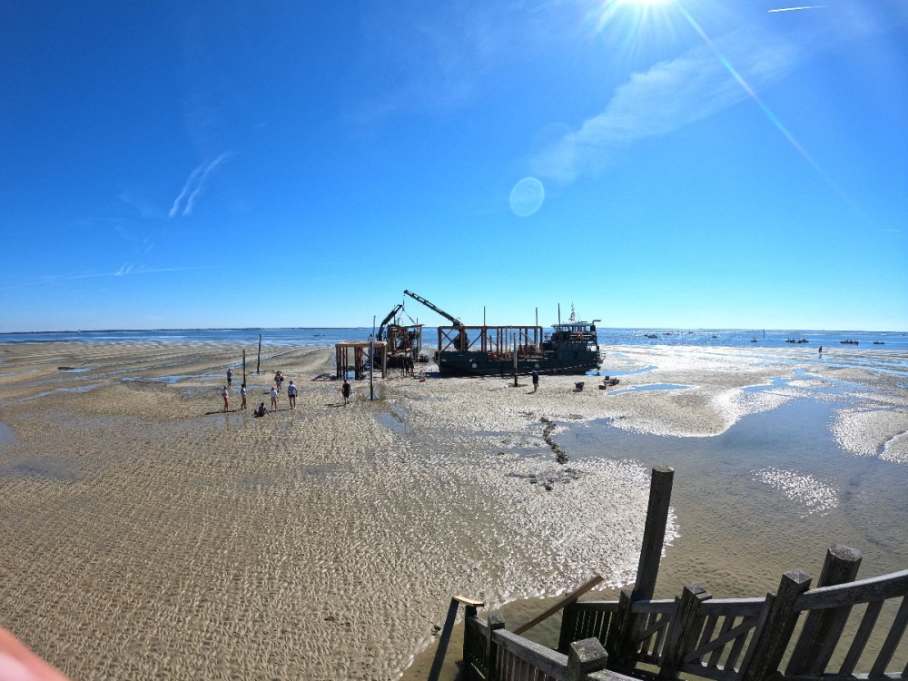 Cabane tchanqu&eacute;e bassin d'Arcachon