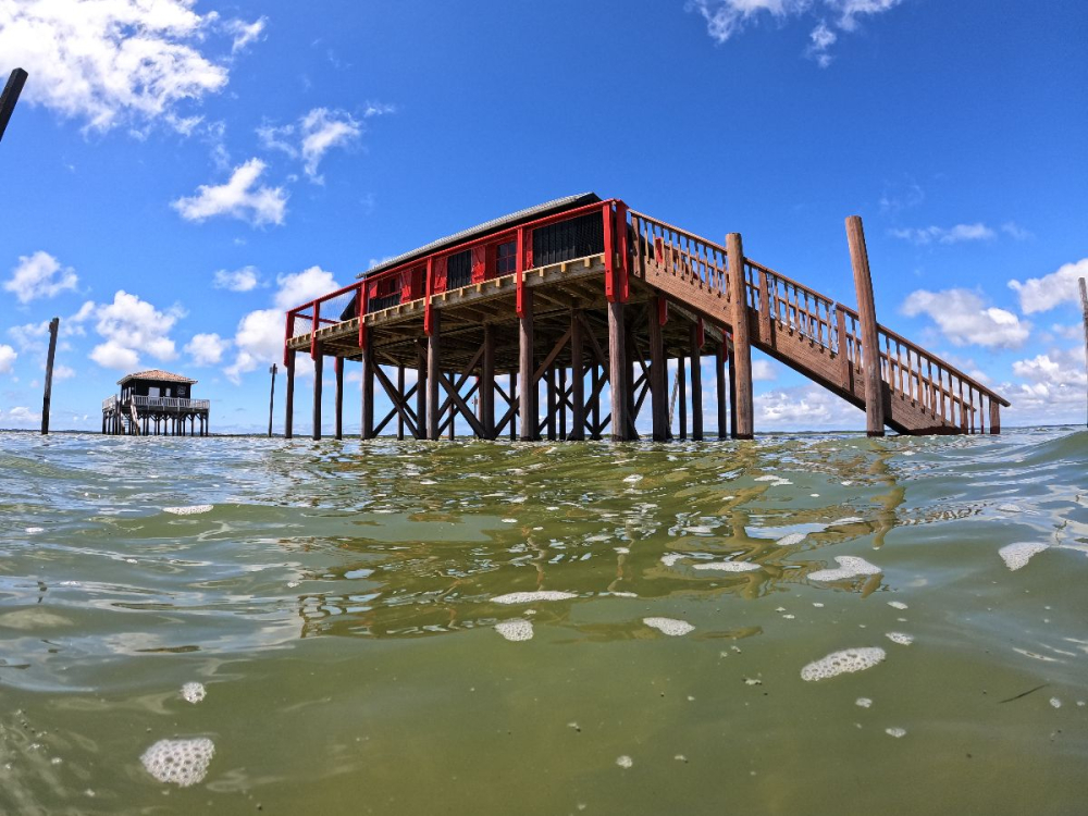 Cabane tchanqu&eacute;e bassin d'Arcachon
