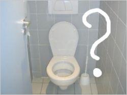 WC d&eacute;cor&eacute;s : t&eacute;moignez !