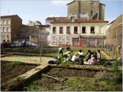 Jardins partag&eacute;s, les raisons du succ&egrave;s