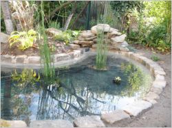 Avant/apr&egrave;s : Un bassin pour redonner vie &agrave; un jardin