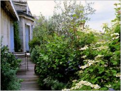Am&eacute;nager un jardin sur son balcon