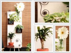 Un ch&acirc;ssis v&eacute;g&eacute;tal pour embellir son int&eacute;rieur