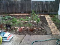Installer une allée de dalles dans le jardin 