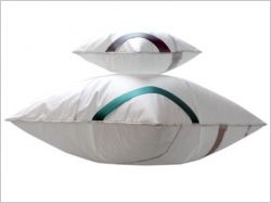 Lairbag propulsé de nos voitures à nos maisons