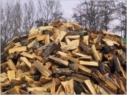 Bois de chauffage : tout savoir sur l'approvisionnement et le stockage