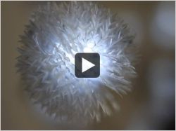 BLC Design Hôtel, le blanc absolu (vidéo)