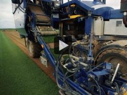 L'herbe en rouleaux (vidéo)
