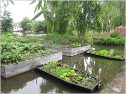 Des jardins potagers exemplaires